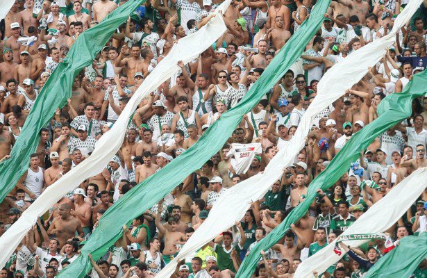 Palmeiras