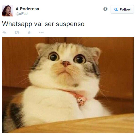 WhatsApp meme14 (Foto: Reprodução/Twitter)